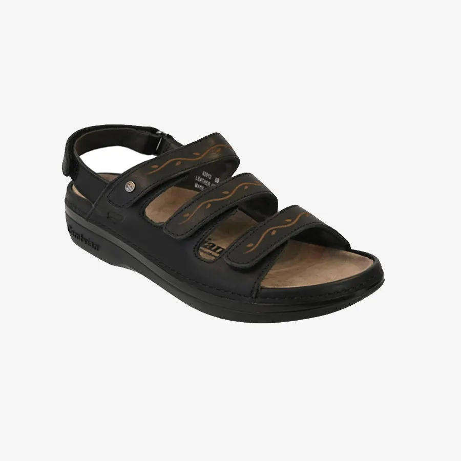 Women's Cambrian Delphi 3 (Black)